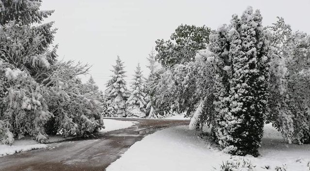 Sniegas gegužės 12-ąją / nuotr. Sigita Arčikauskienė | Orų entuziastai  