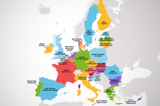 Kurioje srityje kiekviena ES šalis yra geriausiai  
