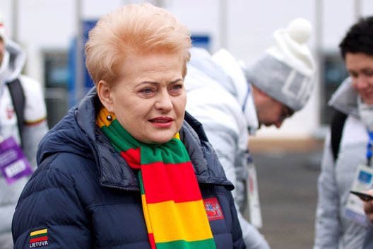 Dalia Grybauskaitė (nuotr. Giedriaus Vaitkevičiaus)