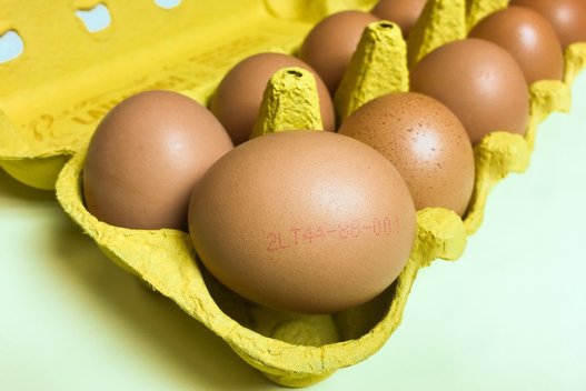 Kiaušiniai (Projekto partnerio nuotr.)