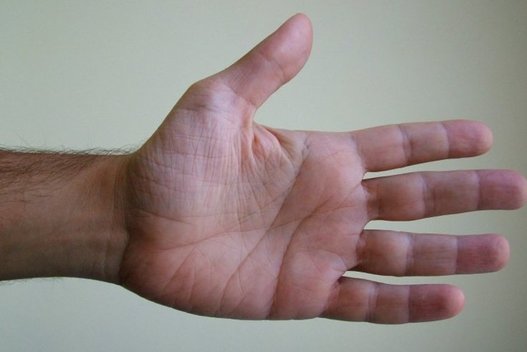 Žvilgtelkite į savo rankas: forma pasko daug apie jūsų asmenybę  