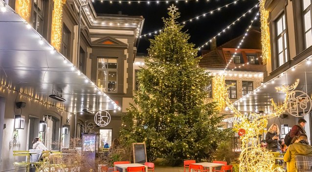 Vilniaus senamiestyje suspindo tūkstančiai kalėdinių švieselių: išvyskite pirmieji ir įvertinkite! (nuotr. Evaldas Činga)