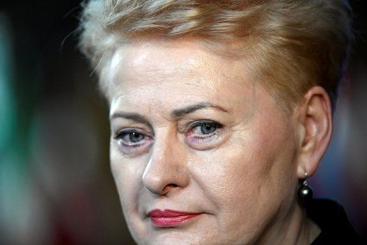 Grybauskaitė: Putino psichinė būklė prastėja, jį reikia stabdyti Ukrainoje (nuotr. SCANPIX)