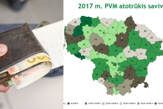 VMI duomenys apie PVM atotrūkį ( E. Žičkevičiūtės nuotr.)