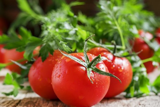 Pomidorai (nuotr. Fotolia.com)