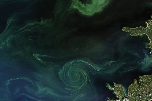 Mistinis dumblių sūkurys Baltijos jūroje (NASA nuotr.)