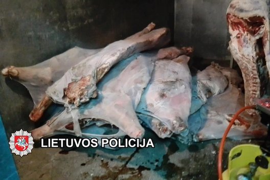 Lietuvis verslininkas prekiavo pašvinkusia mėsa: žmonės pirko tonomis (nuotr. Policijos)