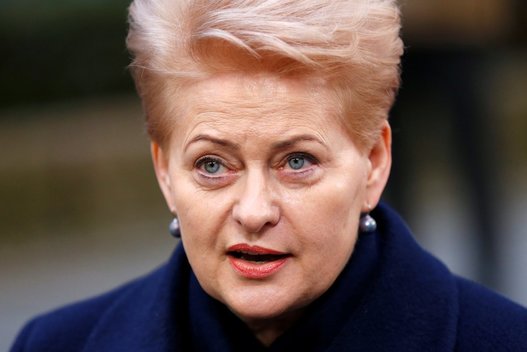 Prezidentė Dalia Grybauskaitė (nuotr. SCANPIX)