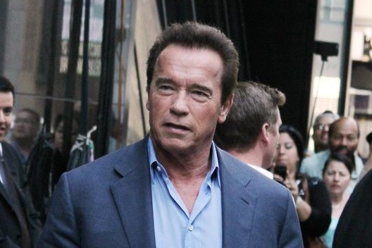 Arnoldas Schwarzeneggeris, 2015 m.  (nuotr. Vida Press)