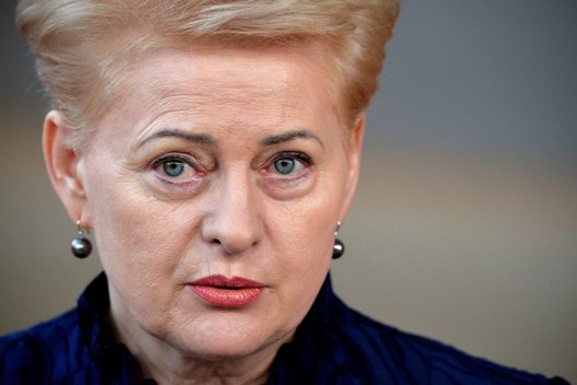 Prezidentė Dalia Grybauskaitė (nuotr. SCANPIX)