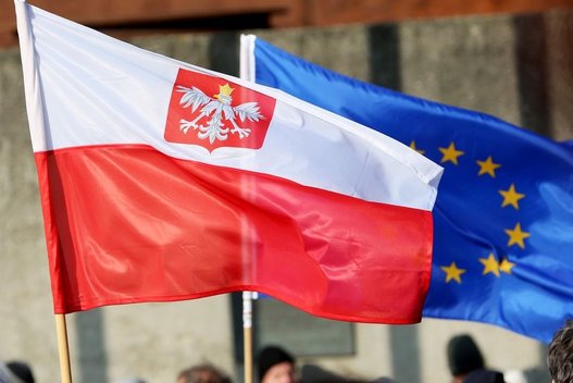 Antano Valionio pasisakymas apie Lenkijos ateitį ES iššaukė diskusiją žiniasklaidoje (nuotr. SCANPIX)