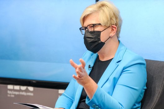 Ingrida Šimonytė (Fotodiena/ Viltė Domkutė)