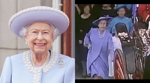 Plinta vaizdo įrašas, kuris prajuokino tūkstančius: karalienei teko pabėgioti (tv3.lt koliažas)