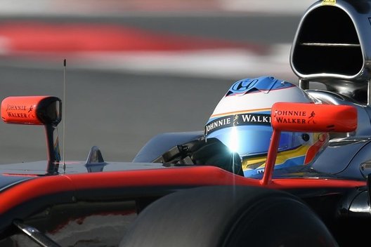 Fernando Alonso (nuotr. SCANPIX)