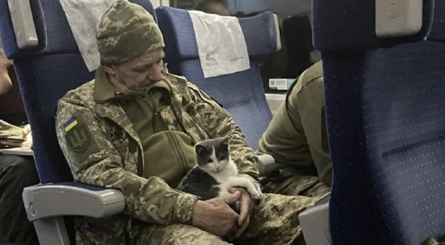 Nuotrauka išplito žaibiškai: Ukrainos karys fronte išgelbėtą kačiuką gabeno šimtus kilometrų į saugius namus (nuotr. UNIAN)  