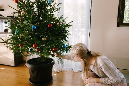Kalėdų eglė  (nuotr. Shutterstock.com)