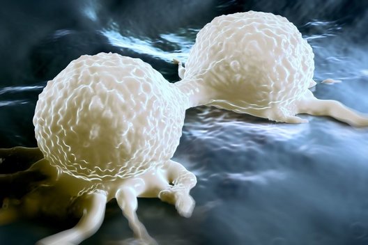 Vėžinės ląstelės  (nuotr. 123rf.com)