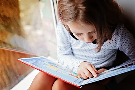 Vaikas skaito knygą (nuotr. Shutterstock.com)