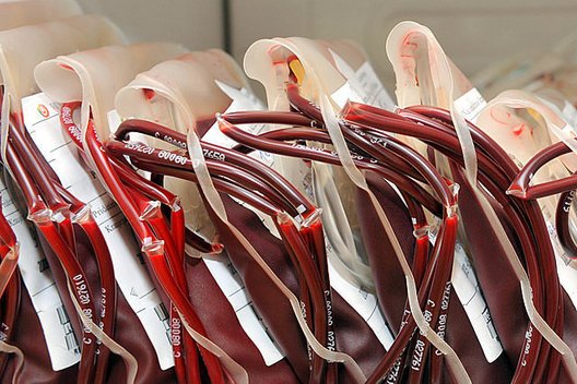 Kraujo donorystė (nuotr. Organizatorių)