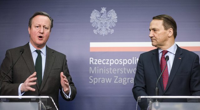 Davidas Cameronas lankosi Lenkijoje (nuotr. SCANPIX)