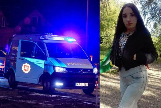 Vilniuje dingo 15-metė (tv3.lt koliažas)