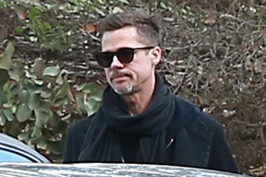 Bradas Pittas (nuotr. Vida Press)