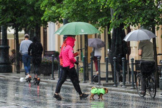 Lietus, orai (Fotodiena/ Viltė Domkutė)