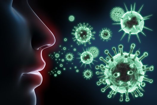 Imuninė sistema  (nuotr. Shutterstock.com)