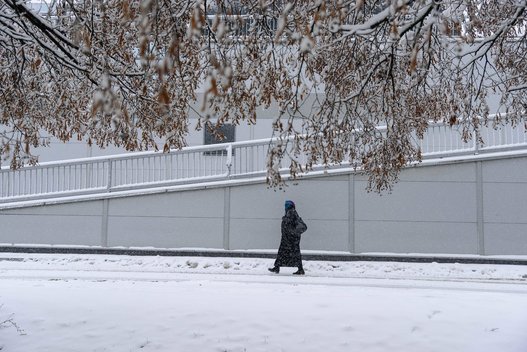 Lietuvą užpustė sniegas (nuotr. Fotodiena/Justinas Auškelis)  