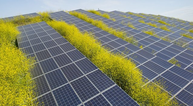 Saulės elektrinės verslui padeda taupyti ir investuoti į plėtrą  