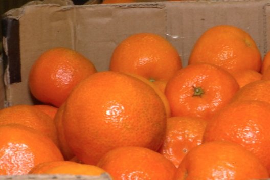 Mandarinų poveikis sveikatai: gali apsaugoti net nuo vėžio (nuotr. TV3)