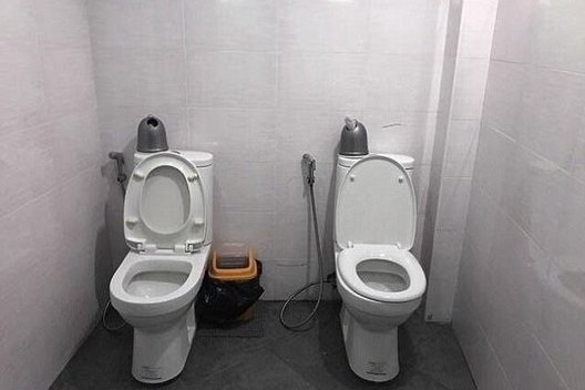 Kraupiausi interjero sprendimai tualete (nuotr. Reddit)  