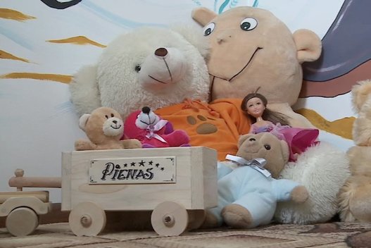 Vaikų žaislai (nuotr. TV3)