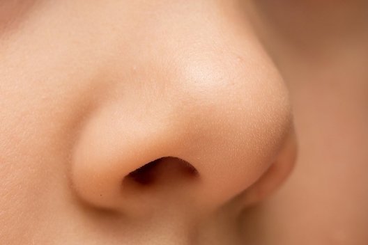 Nosis  (nuotr. Shutterstock.com)