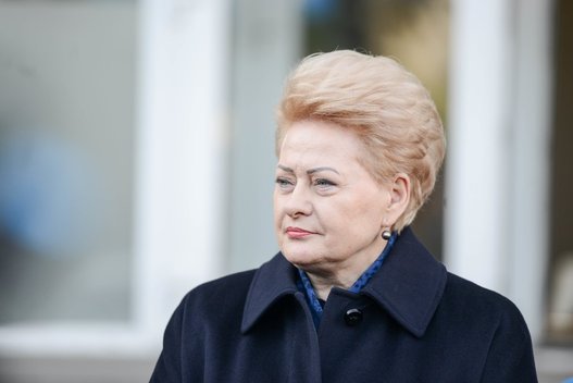 Dalia Grybauskaitė (nuotr. Fotodiena/Justino Auškelio)