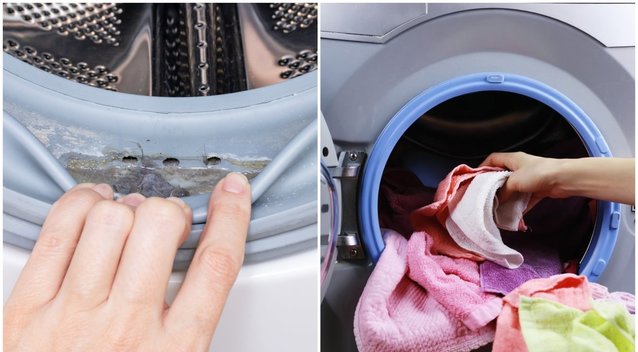 Nešvarumai skalbimo mašinoje (nuotr. tv3.lt fotomontažas)  