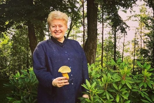 Dalia Grybauskaitė (nuotr. asm. archyvo)