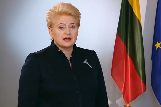 Po Nyderlandų fiasko Dalia Grybauskaitė kreipėsi į ukrainiečius: „Slava Ukraine!“ (nuotr. YouTube)