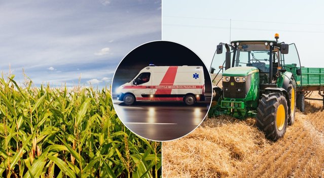 Lietuvis žuvo kukurūzų lauke (tv3.lt koliažas)