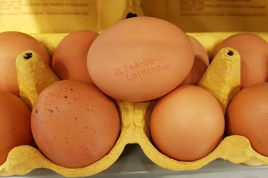 Ant kraiko laikomų vištų kiaušiniai
