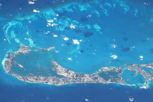 Bermudai (nuotr. Scanpix)  