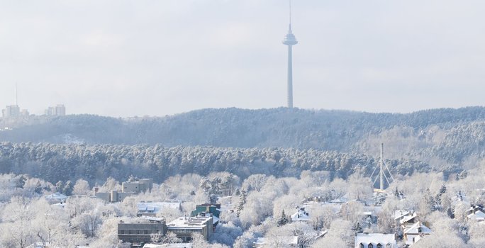 Žiema sostinėje (2026 m./nuotr./ELTA) 1