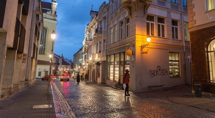 Ruduo Vilniuje (nuotr. Fotodiena/Justinas Auškelis)  