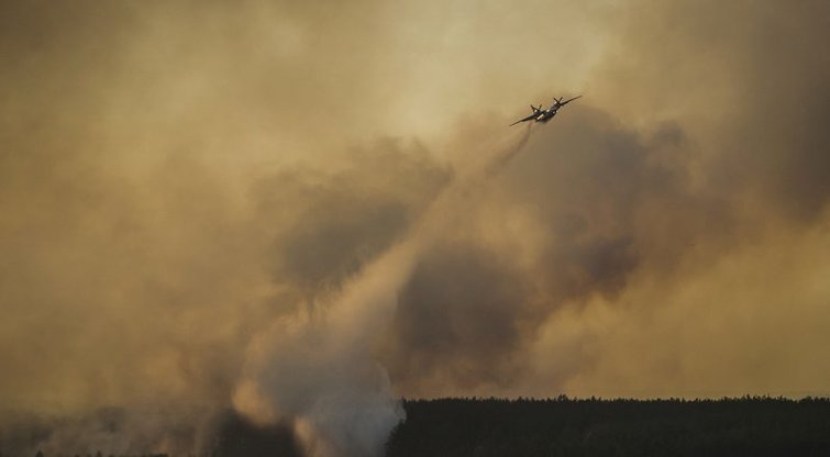 Ukrainoje kilęs miško gaisras kelia pavojų Černobylio branduolinės katastrofos zonai (nuotr. SCANPIX)