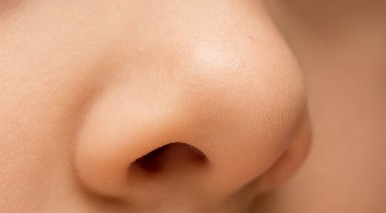 Nosis  (nuotr. Shutterstock.com)