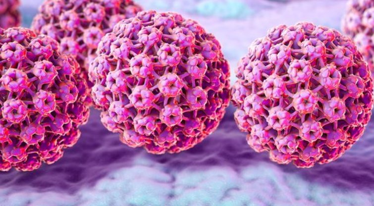Vėžys (nuotr. Shutterstock.com)