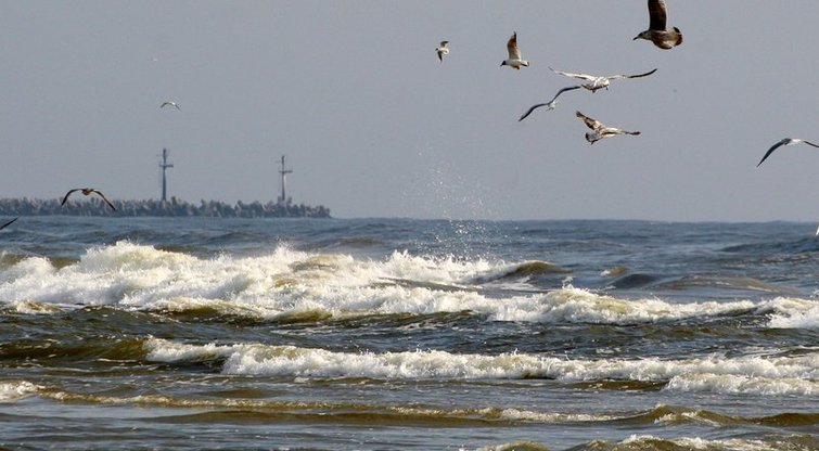 Baltijos jūra (nuotr. Fotodiena.lt)