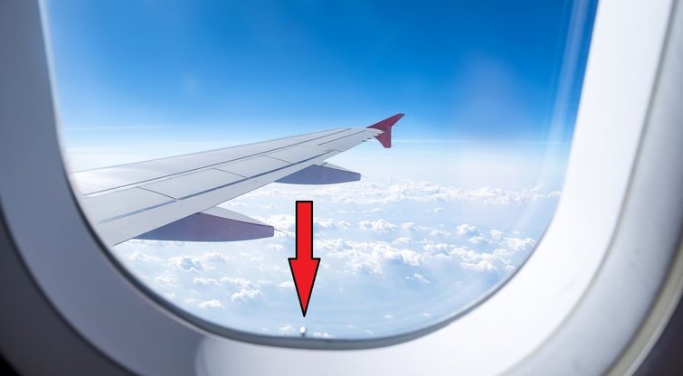 Lėktuvo langas (nuotr. Fotodiena.lt)