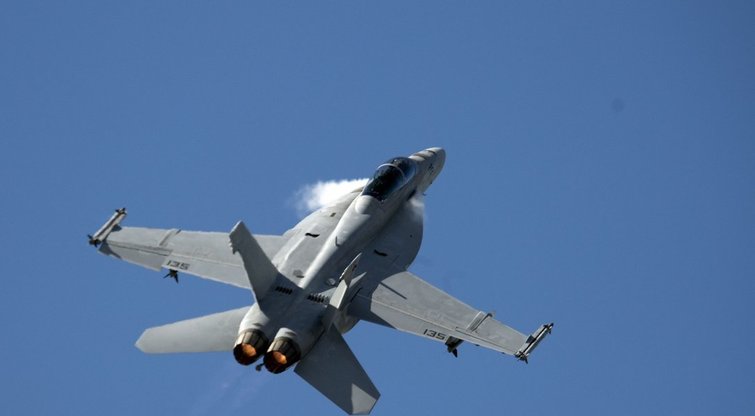 Naikintuvas F-18 (nuotr. SCANPIX)