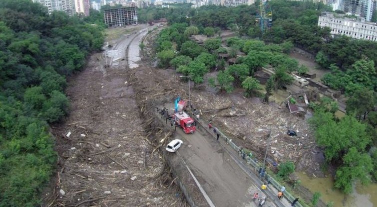 Potvynis Tbilisyje nusinešė žmonių gyvybes, iš zoologijos sodo pabėgo gyvūnai (Nuotr. Scanpix)  